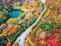 花築·峪宿私湯小院