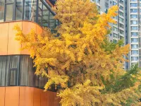 ANYEE Hualong Hotel Hotels near Jinniu