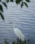 ウィーンホテル（弥勒湖泉水鄉温泉） - カップル