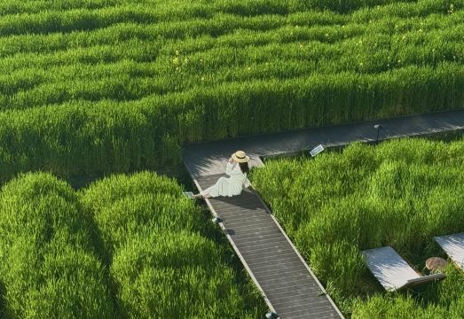 大理山未野酒店（磻溪村洱海S湾生态廊道店）外景图