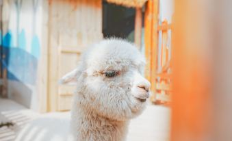 Slender West Lake Hot Spring Resort Yangzhou