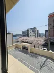 daisyhotel