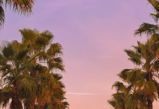 크라운 플라자 항저우 허다 객실