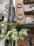 Lucky Clover Hostel