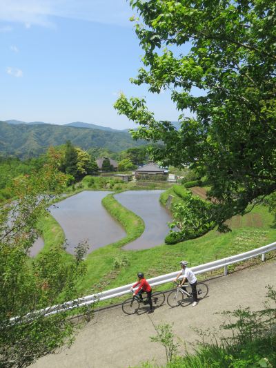 ホテルからの眺望 白壁荘の写真