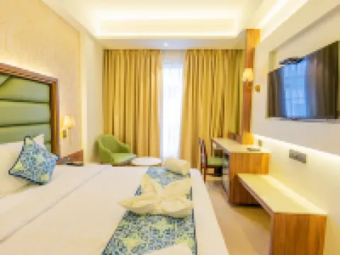 Shera Hotels & Banquets テインのホテル