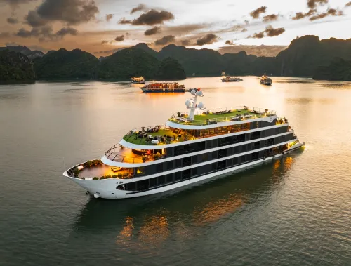 Venus Halong Cruises