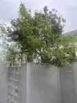 Blue Lake Bay Homestay - Parkplatz