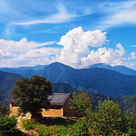 Summit No.1 Coffee Manor
