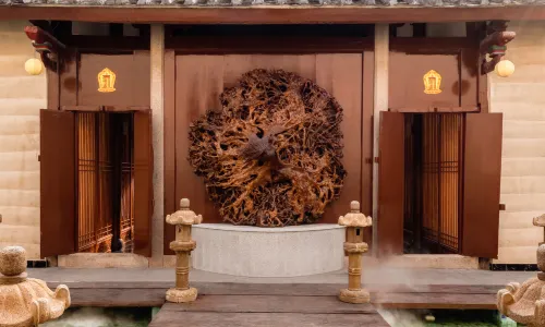 JIUSHANGLIANSU
