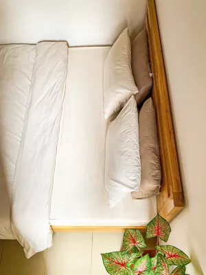Duoi tan cay homestay Hotel di 