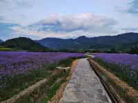 Hanshe Yazhu (Libo Xiaoqikong Shop) - Scenic
