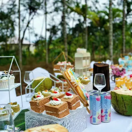 WILDRETREAT • POLIN RICE VALLEY