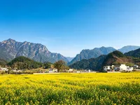 途遠西川天然氧吧民宿 - 機場接送