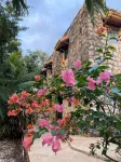 Villa Tortugas