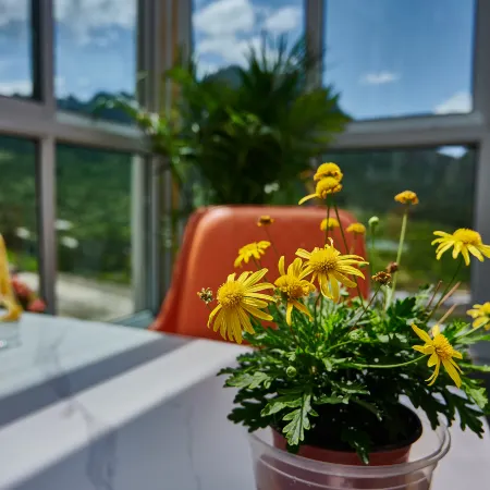 Diebu Zagana Gesang Medo Homestay