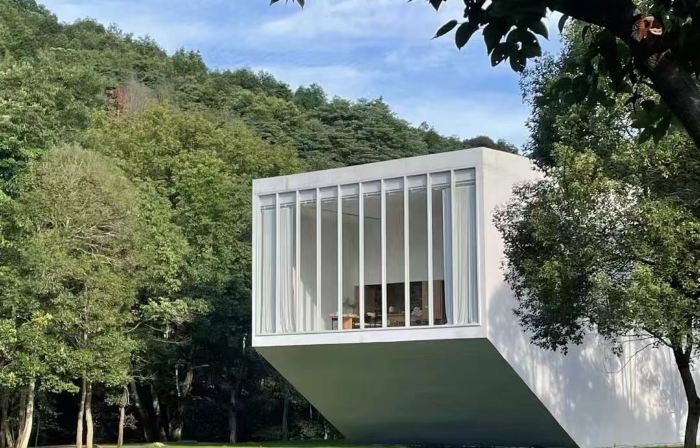 Peninsula Tree House