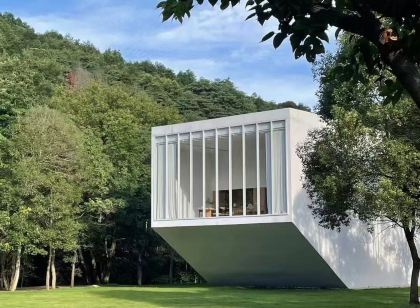 Peninsula Tree House