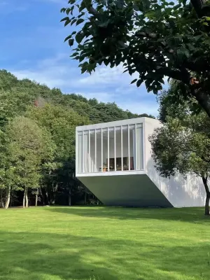 Peninsula Tree House