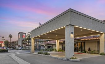 Best Western Plus Executive Inn