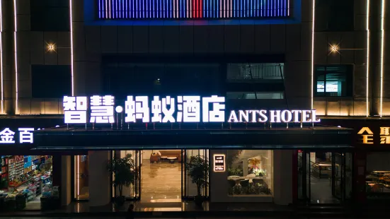 County Wisdom ▪ Ant Hotel