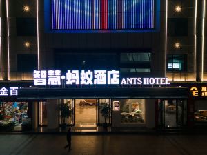 County Wisdom ▪ Ant Hotel