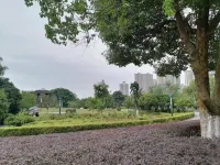 โรงแรมอันจูอี้ สาขา สถานีรถไฟความเร็วสูงหยางซิน - วิว