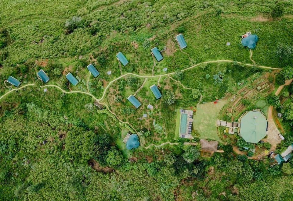 Hotel Madulkelle Tea and Eco Lodge, Exterior, Hotel Exterior