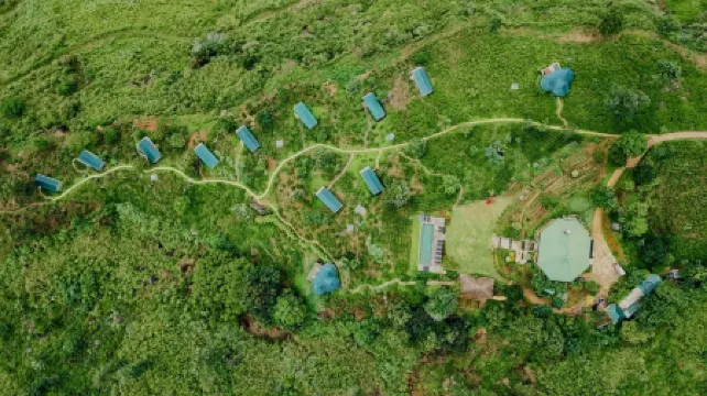 Madulkelle Tea and Eco Lodge