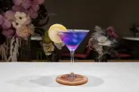 SKYBIRD Hotel (Hangzhou West Lake Hefang Street) - bar