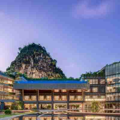 崇左大新明仕長留山居 Hotel Exterior