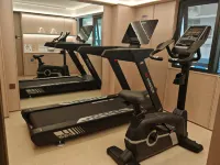 HanTing Hotel (Zhanjiang Leizhou Xihu Park) - Gym