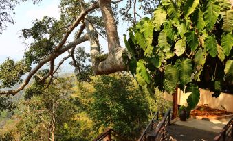 Doubletree Homestay(Pu'er Jingmai Mountain Ancient Tea Forest Scenic Area Store)
