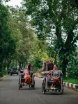 Hotel Tugu Malang - Romantic