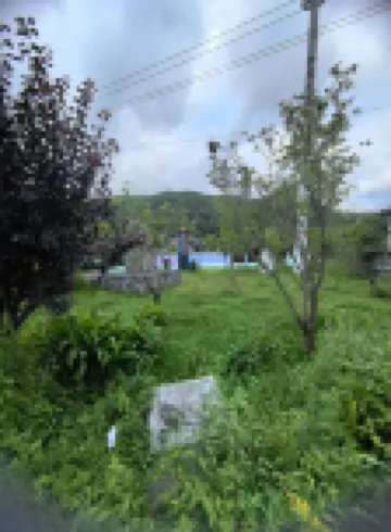 Hezhang Jiucaiping Grand Hotel (Axilixi Jiucaiping Scenic Area)