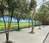 Tianyuan Homestay