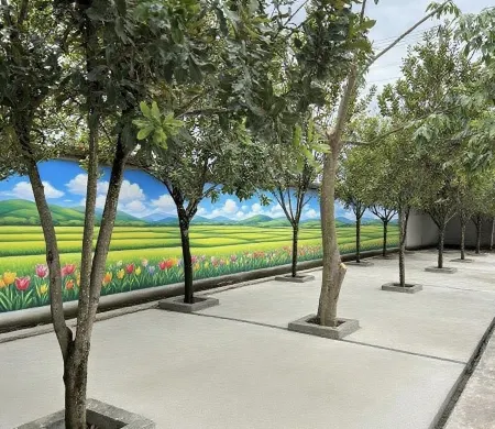 Tianyuan Homestay Отели в г. Инцзян