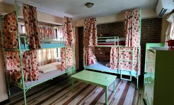 Kiwi Backpackers Hostel Pokhara