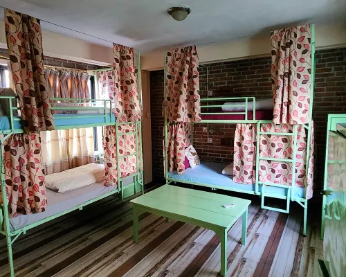 博卡拉獼猴桃背包客旅舍 卡斯基住宿飯店