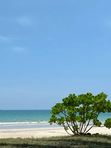 รูปภาพของชุมพรคาบาน่า รีสอร์ต
