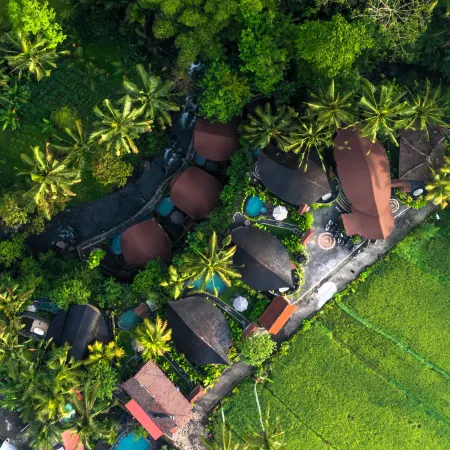 Aura Cendana Hill Sidemen by AGATA