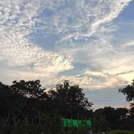 Xike Homestay (Donglinsi Branch)