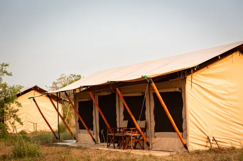 Gnu Mara River Camp - 3-Star
