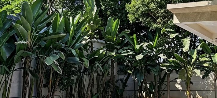 Xinqijianjie Homestay Hotel di Provinsi Dayi