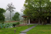 Floral Lux·Lincheng Academy Homestay - bar