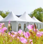 Kunming Tianmashan Hot Spring Holiday Villa