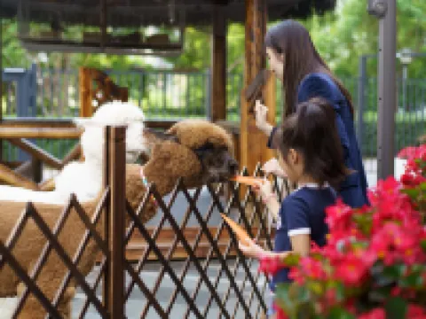 VOYAGE INTERNATIONAL HOTEL (Capital Airport New National Exhibition Store) Hotels in Beijing