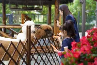 VOYAGE INTERNATIONAL HOTEL (Capital Airport New National Exhibition Store)