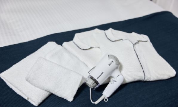 ESLEAD HOTEL Namba South I