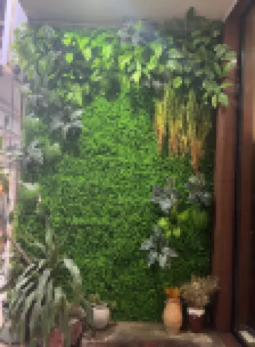 MG Hotel فنادق في 